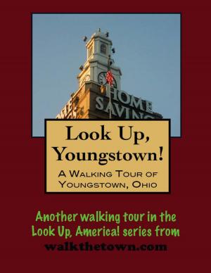 Cover of the book Look Up, Youngstown! A Walking Tour of Youngstown, Ohio by Doug Gelbert