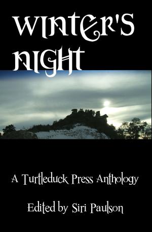 Book cover of Winter's Night