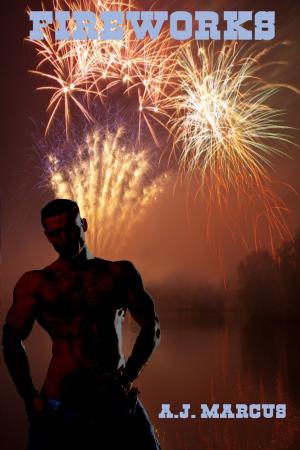 Cover of the book Fireworks by Samantha Summers