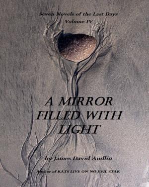 Book cover of The Seven Last Days: Volume IV: A Mirror Filled With Light