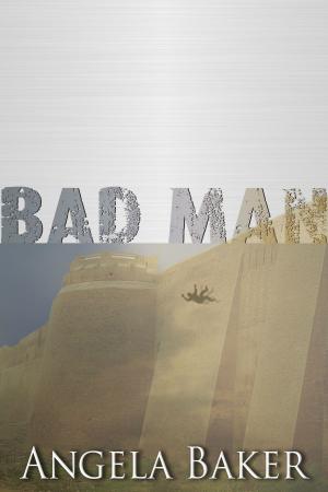Book cover of Messages from the Borderlands: Bad Man