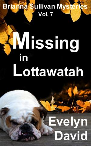 Cover of the book Missing in Lottawatah by Evelyn David
