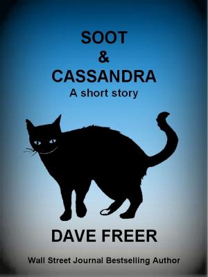Book cover of Soot & Cassandra