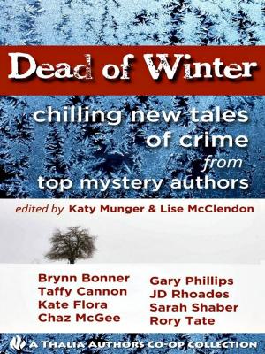 Cover of the book Dead Of Winter by Kit Ehrman