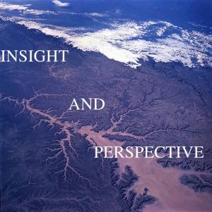 Cover of the book Insight and Perspective by Sally Eichhorst