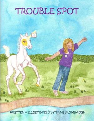 Book cover of Trouble Spot