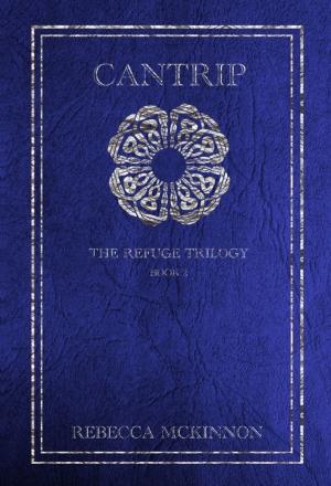 bigCover of the book Cantrip by 