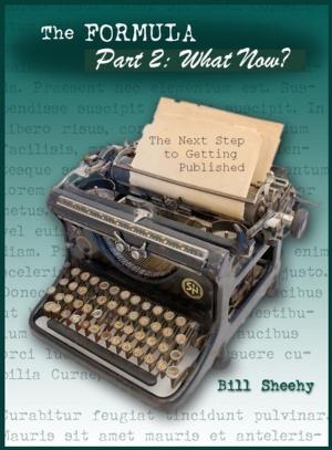 Cover of The Formula for Fiction: Part 2: What Now? The Next Step to Getting Published