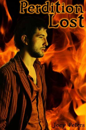 Cover of Perdition Lost