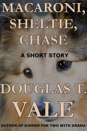 Cover of the book Macaroni, Sheltie, Chase by C.A. Tibbitts