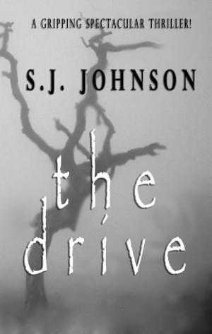 Book cover of The Drive