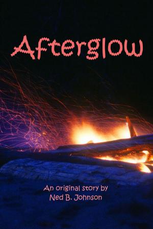 Cover of the book Afterglow by Robert Scott Leyse