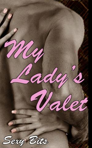 Cover of Erotica: My Lady's Valet
