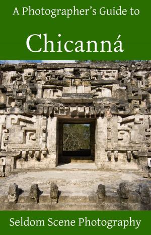 Book cover of A Photographer's Guide to Chicanná