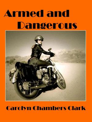 Book cover of Armed & Dangerous