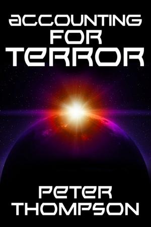 Cover of the book Accounting for terror by Naakaree Spero