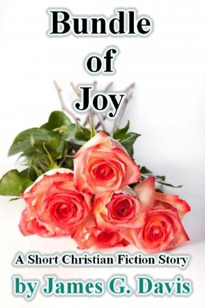 Cover of the book Bundle of Joy by Robert Peate