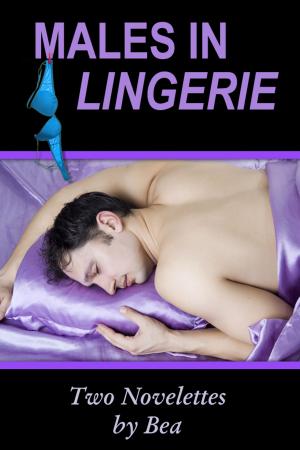Cover of the book Males in Lingerie by Lindsey Greene