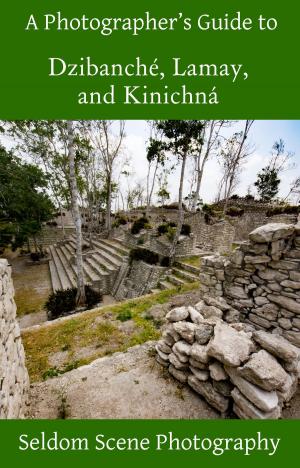 Cover of the book A Photographer's Guide to Dzibanché, Lamay, and Kinichná by Mac Patrick