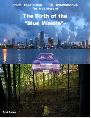 bigCover of the book The Birth of the "Blue Missile" by 