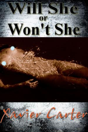 bigCover of the book Will She or Won't She by 