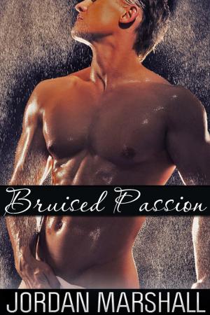 Cover of the book Bruised Passion (Gay Sex Story) by Ronald E. Newton
