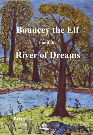 Book cover of Bouncey the Elf and the River of Dreams