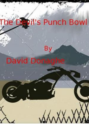 Book cover of The Devil's Punch Bowl