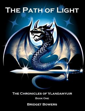 Cover of the book The Path of Light: The Chronicles of Vlandamyuir Book One by Andrew Barger