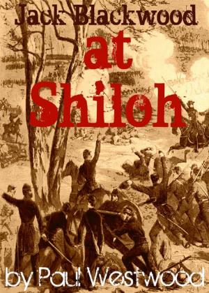 Cover of the book At Shiloh by Leslie O'Kane