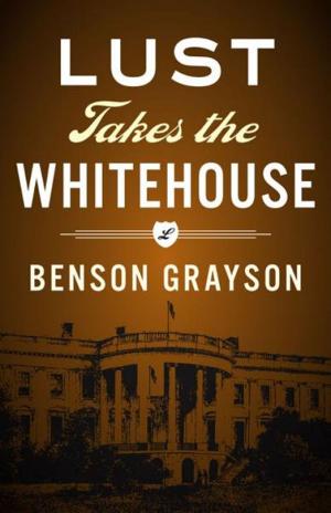 Cover of the book Lust Takes The White House by Rodney Mountain