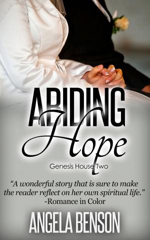 Book cover of Abiding Hope