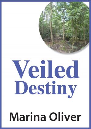 Cover of the book Veiled Destiny by Stina Lindenblatt