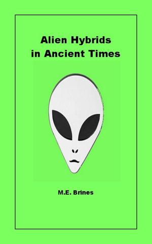 Cover of the book Alien Hybrids in Ancient Times by Matthew OBrien