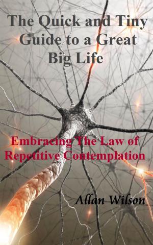 Cover of The Quick and Tiny Guide to a Great Big Life. Embracing The Law of Repetitive Contemplation