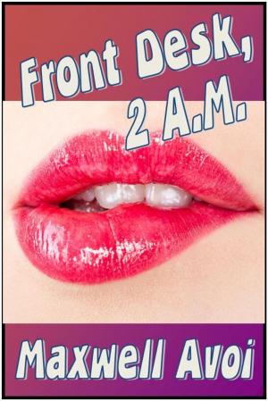 Cover of the book Front Desk, 2 AM by Maxwell Avoi