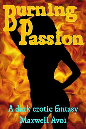 Cover of the book Burning Passion by Maxwell Avoi