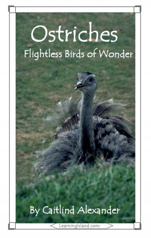 Cover of the book Ostriches: Flightless Birds of Wonder by Cullen Gwin