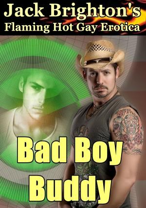 Book cover of Bad Boy Buddy