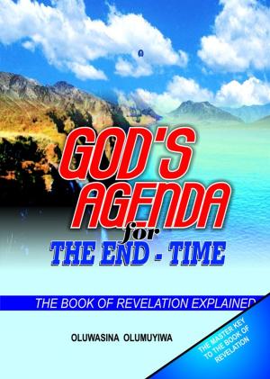 bigCover of the book God's Agenda for the End: Time - The Book of Revelation Explained by 