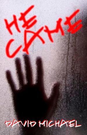 Book cover of He Came