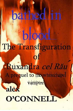 Cover of the book Bathed in Blood: The Transfiguration of Ruxandra cel Rău by Anne-Rae Vasquez