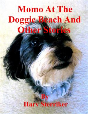 Cover of the book Momo At The Doggie Beach And Other Stories by Steven Bynum