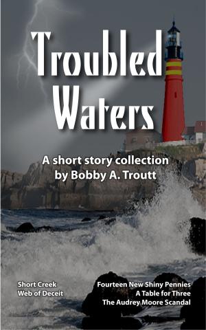 Cover of the book Troubled Waters by Bobby A. Troutt