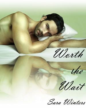Cover of the book Worth the Wait by Patricia Gauthier