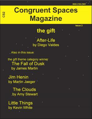 Cover of the book Congruent Spaces Magazine, Issue 2 by Joey Held