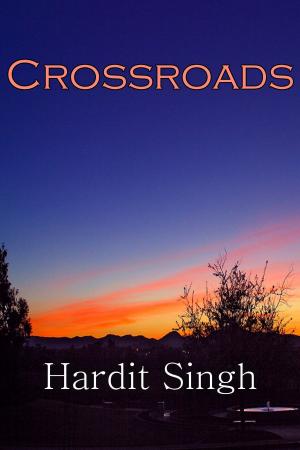 Cover of the book Crossroads by Brigitte Willigens