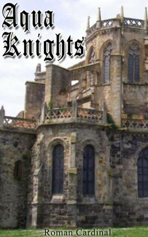 Cover of Aqua Knights