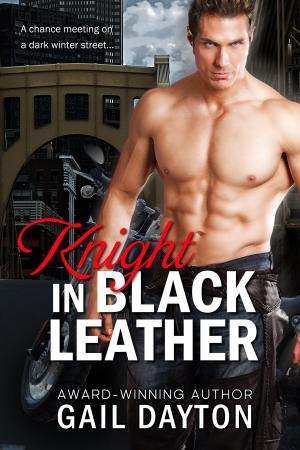 Cover of the book Knight In Black Leather by Karen Fields
