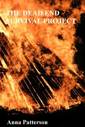 Book cover of The Dead End Survival Project